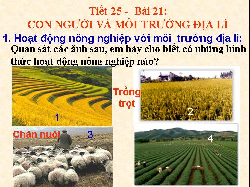 Bài 21. Con người và môi trường địa lí