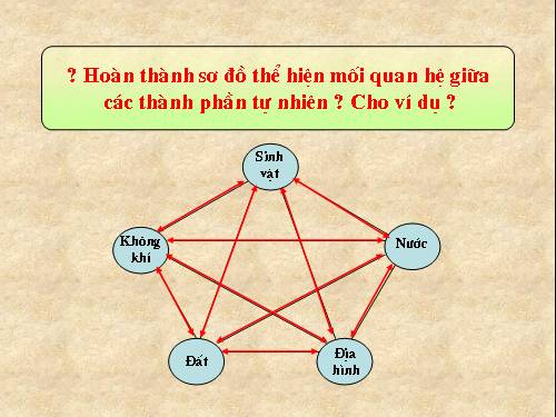 Bài 25. Lịch sử phát triển của tự nhiên Việt Nam