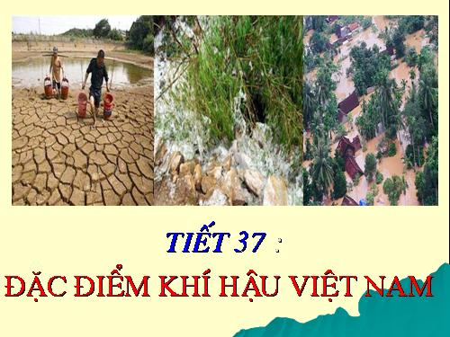 Bài 31. Đặc điểm khí hậu Việt Nam