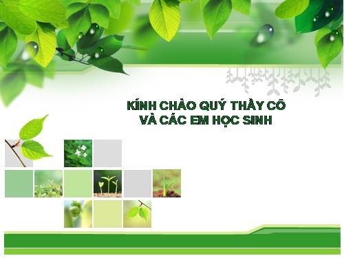 Bài thực hành 3. Khai báo và sử dụng biến