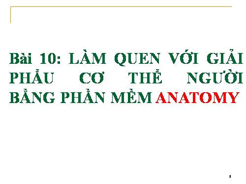 LÀM QUEN VỚI GIẢI PHẨU CƠ THỂ NGƯỜI BẰNG PHẦN MỀM ANATOMY