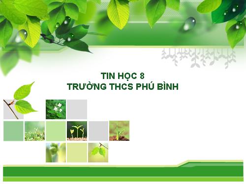 Bài thực hành 3. Khai báo và sử dụng biến