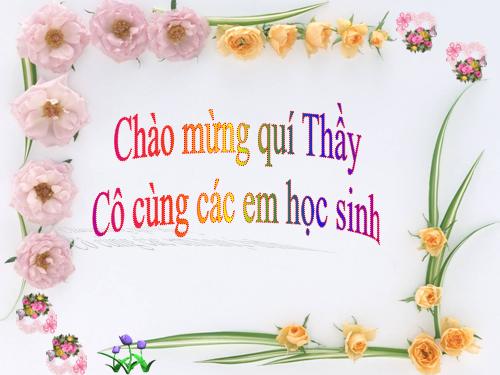 Bài 4. Sử dụng biến trong chương trình