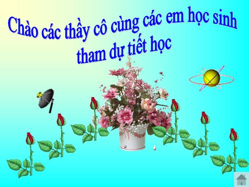 Ôn tập HKI