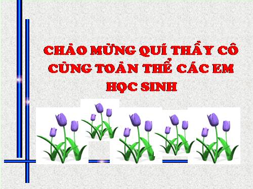 Bài 5. Từ bài toán đến chương trình