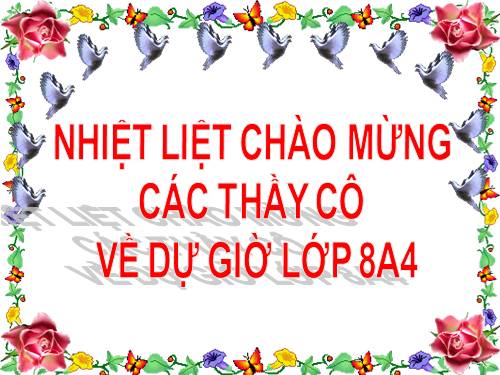 Bài 6. Câu lệnh điều kiện