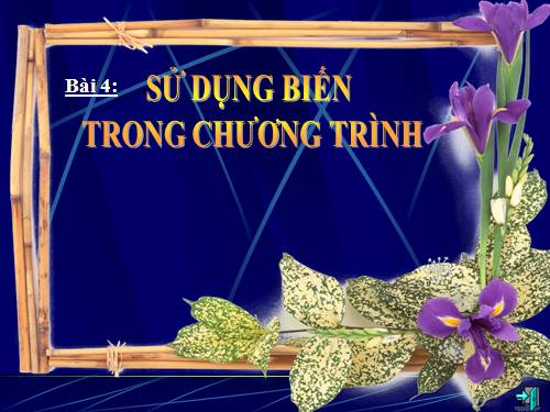 Bài 4. Sử dụng biến trong chương trình