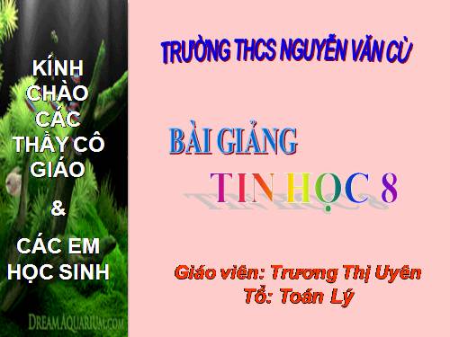 Bài 4. Sử dụng biến trong chương trình