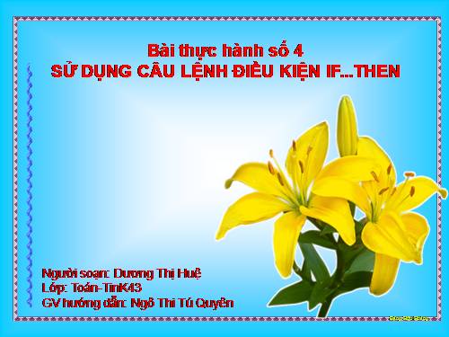 Bài thực hành 4. Sử dụng câu lệnh điều kiện If….Then