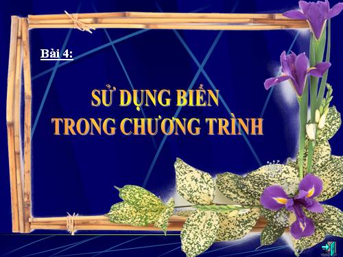 Bài 4. Sử dụng biến trong chương trình