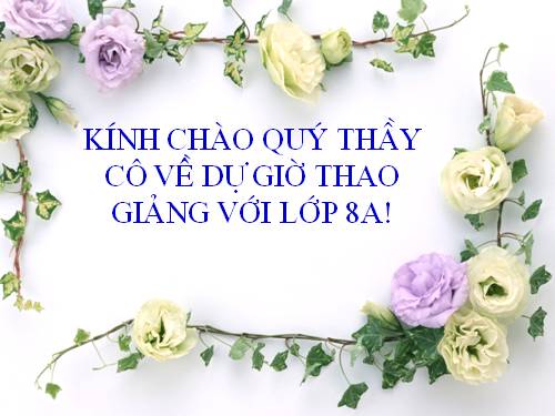 Bài 6. Câu lệnh điều kiện