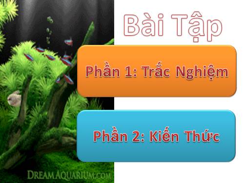 Bài thực hành 6. Sử dụng lệnh lặp While…..Do