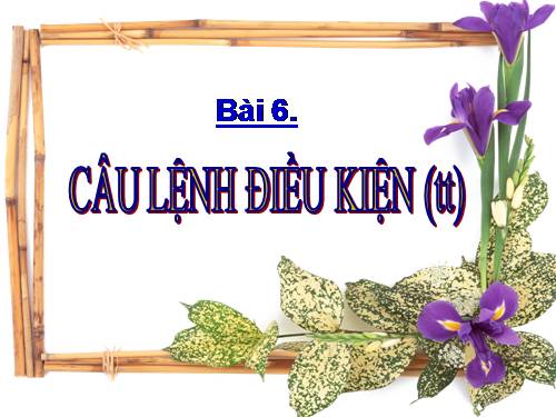 Bài 6. Câu lệnh điều kiện