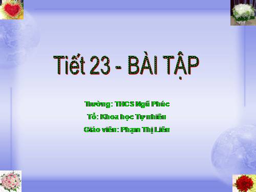 Tiết 23 - Bài tập