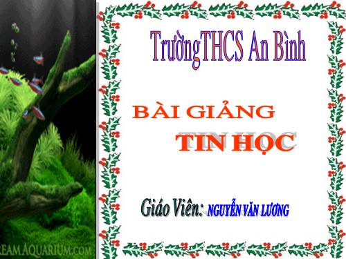 Bài 5. Từ bài toán đến chương trình