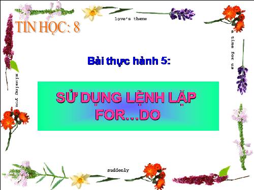 Bài thực hành 5. Sử dụng lệnh lặp For….Do