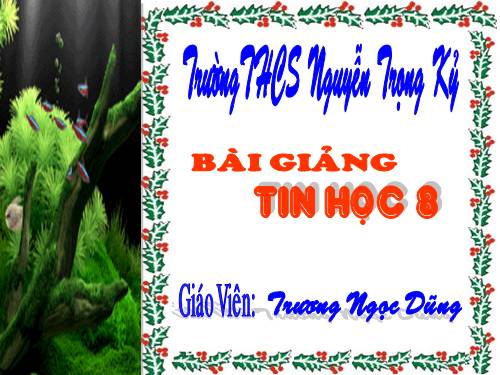 Bài 5. Từ bài toán đến chương trình