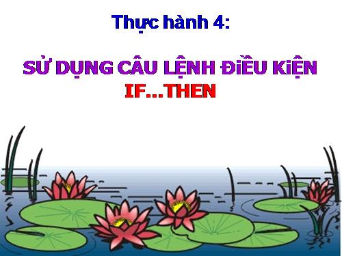 Bài thực hành 4. Sử dụng câu lệnh điều kiện If….Then