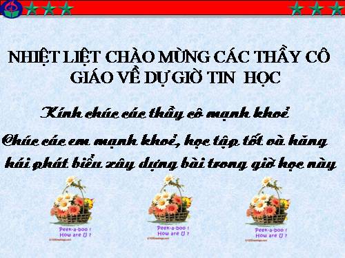 Bài thực hành 4. Sử dụng câu lệnh điều kiện If….Then