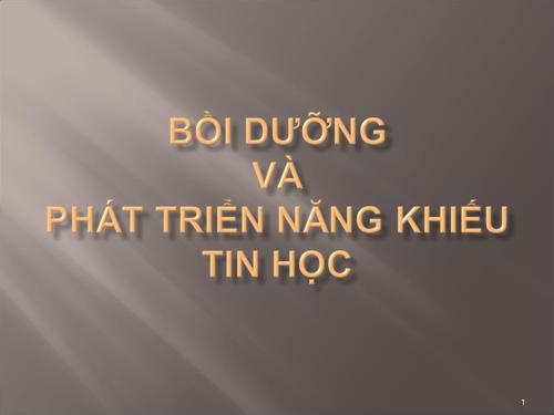 Boi duong hoc sinh gioi tin hoc 8