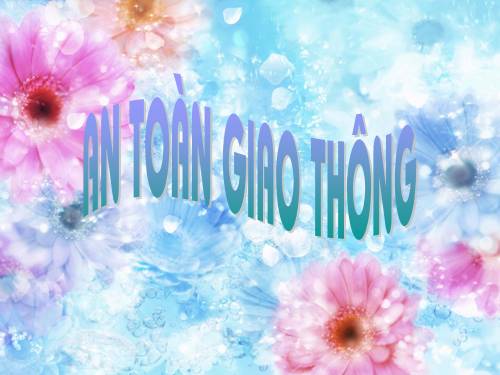 an toan giao thong