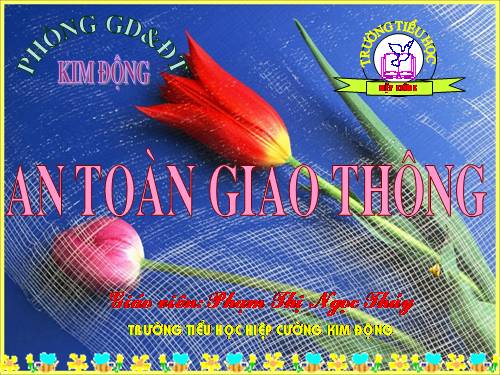 Bài 4. Nguyên nhân gây tai nạn giao thông