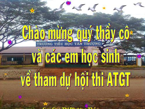 Bài 4. Nguyên nhân gây tai nạn giao thông