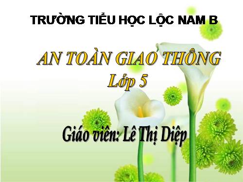 Bài 4. Nguyên nhân gây tai nạn giao thông