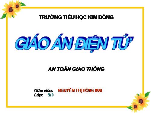 Bài 4. Nguyên nhân gây tai nạn giao thông