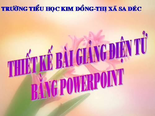 Bài 4. Nguyên nhân gây tai nạn giao thông