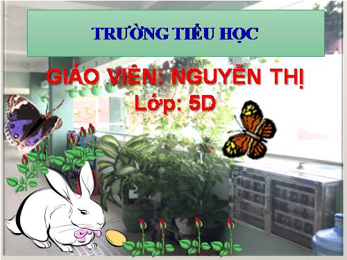 Tuần 7-8. Luyện tập về từ nhiều nghĩa