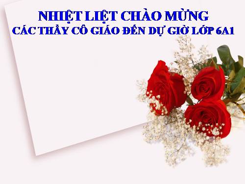 Chương I. §11. Dấu hiệu chia hết cho 2, cho 5