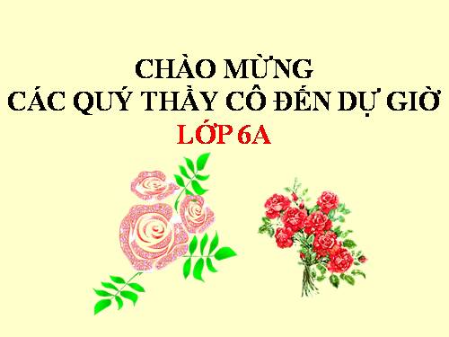 Chương III. §8. Tính chất cơ bản của phép cộng phân số