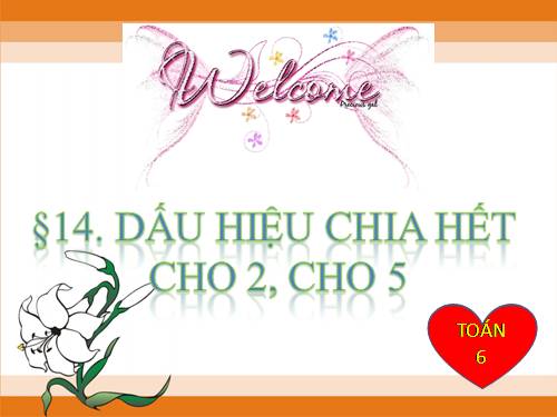 Chương I. §11. Dấu hiệu chia hết cho 2, cho 5