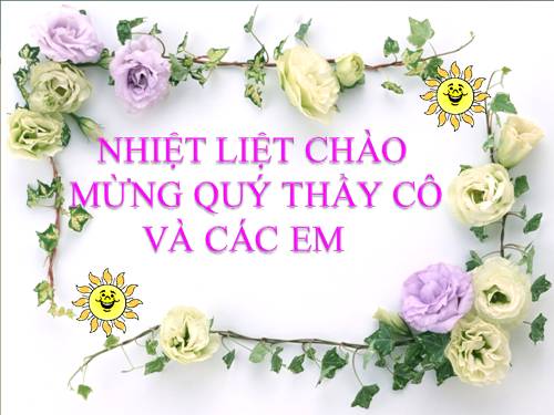 Chương III. §8. Tính chất cơ bản của phép cộng phân số