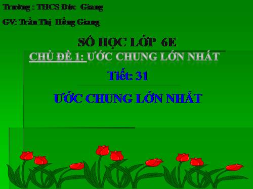 Chương I. §17. Ước chung lớn nhất