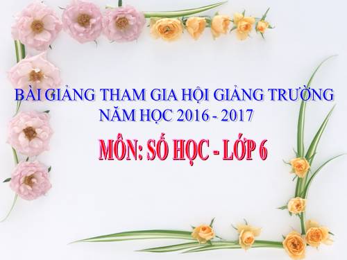 Các bài Luyện tập