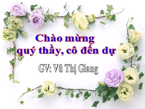 Chương III. §13. Hỗn số. Số thập phân. Phần trăm