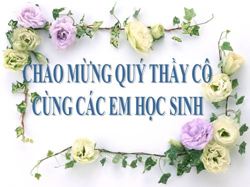 Chương II. §4. Cộng hai số nguyên cùng dấu