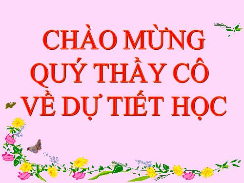 Chương III. §13. Hỗn số. Số thập phân. Phần trăm