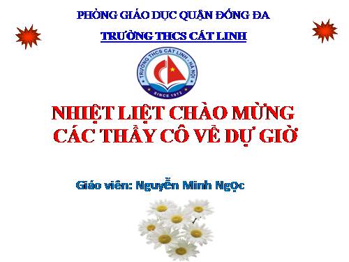 Các bài Luyện tập