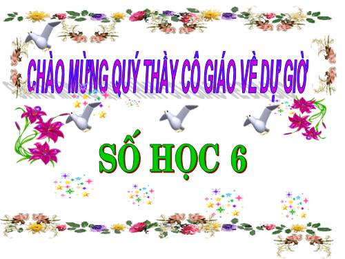 Chương III. §4. Rút gọn phân số