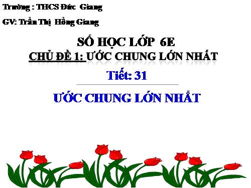 Chương I. §17. Ước chung lớn nhất