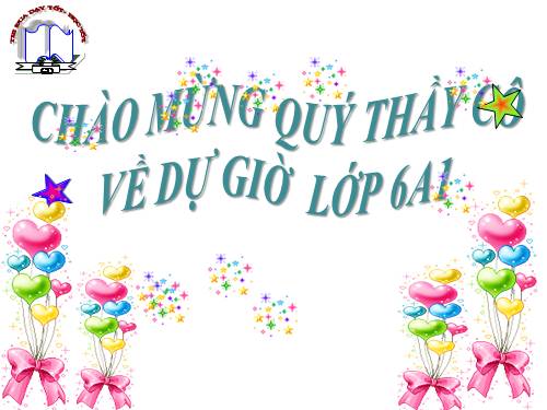 Các bài Luyện tập