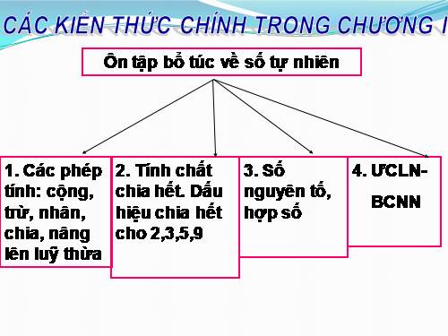 Ôn tập Chương I. Ôn tập và bổ túc về số tự nhiên