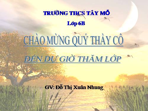 Chương I. §14. Số nguyên tố. Hợp số. Bảng số nguyên tố