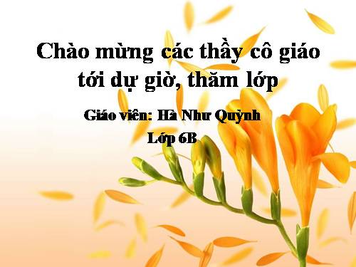 Chương III. §16. Tìm tỉ số của hai số