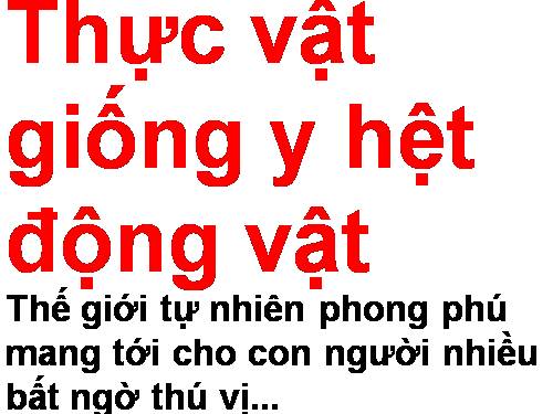 thuc vat giong dong vat