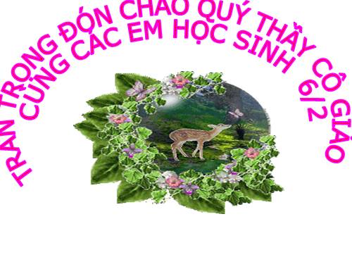 Các bài Luyện tập