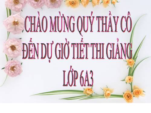 Chương II. §3. Thứ tự trong tập hợp các số nguyên